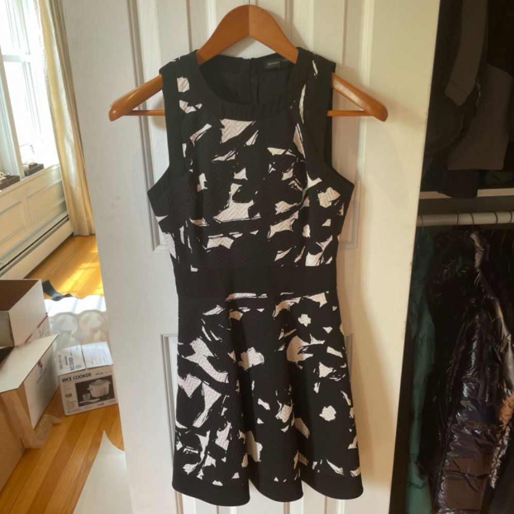 Banana Republic Skater Dress